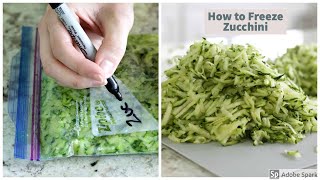 How to freeze Zucchini [upl. by Kinsler568]