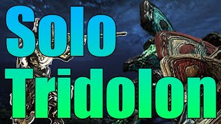 Solo Trido 9 min  Builds  Warframe [upl. by Eelhsa]