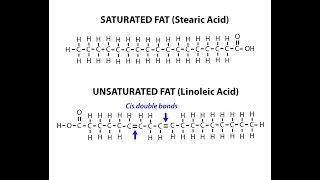 Chemical Structures of Examples of Saturated and Unsaturated Fatty Acids [upl. by Akli]