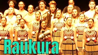 Kapa Haka performance  Raukura  Matariki festival 2019 [upl. by Kenweigh]