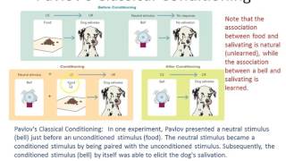 Introduction to Psychology Chapter 5 Part 1 or 2 [upl. by Maram]