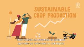 L’agriculture durable est possible [upl. by Aetnuahs]