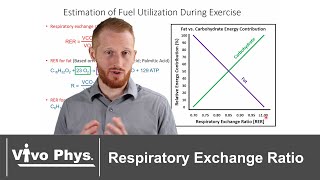 Respiratory Exchange Ratio RER Explained [upl. by Nayrda]