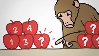 Why Monkeys Can Only Count To Four [upl. by Dorette]