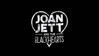 Joan Jett And The Blackhearts  Live in Coralville 2015 Full Concert [upl. by Llennoj734]