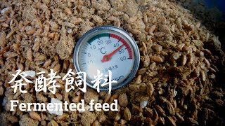 鶏の餌に発酵飼料を作る～Ferment your chicken feed [upl. by Sirovaj]