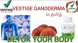 Vestige Ganoderma in Tamil [upl. by Teleya]