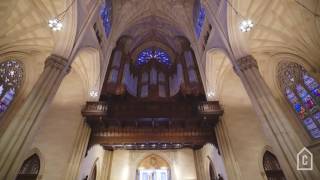 Saint Patricks Cathedral  Curbed Tours [upl. by Domenic541]