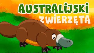 Australijski zwierzęta dla dzieci   bajki dla dzieci [upl. by Gabrielli878]