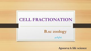 cell fractionation in tamilCell fractionation in bsc zoology in tamilCell biology fractionation [upl. by Rowell564]