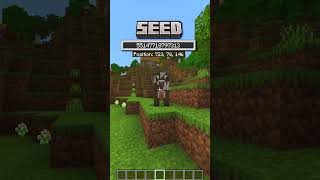 Der PERFEKTE Minecraft 121 Seed für faule Spieler [upl. by Vachil]