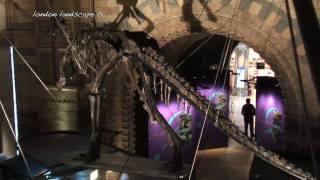 Dinosaurs A visit to the London Natural History Museum HD [upl. by Tnerb]