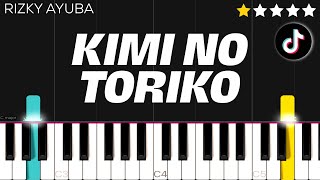 Rizky Ayuba  Kimi No Toriko TikTok Song  EASY Piano Tutorial [upl. by Eneirda]