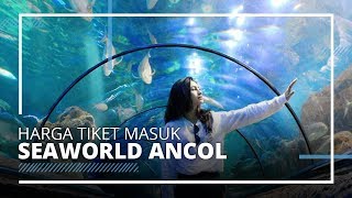 Mulai Buka 20 Juni 2020 Ini Harga Tiket Masuk Seaworld Ancol [upl. by Annawad]