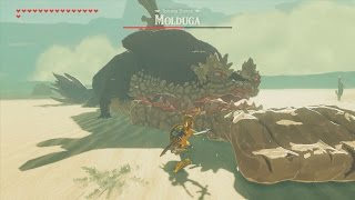 BotW Molduga Medicine Side Quest [upl. by Briano621]