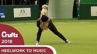 Freestyle Heelwork to Music Competition  Part 2  Crufts 2018 [upl. by Seluj]