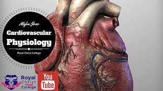 Cardiac conduction pathway SA node AV node Bundle of his Purkinje fibres [upl. by Schnabel]