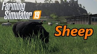 Farming Simulator 19 Tutorial  Sheep [upl. by Regen]