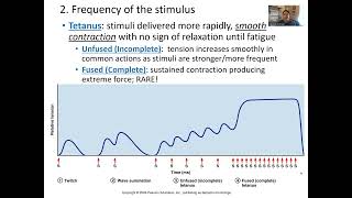 Muscle Physiology Wave Summation Tetanus and Treppe [upl. by Eilyah]