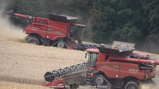 Case  John Deere  Getreideernte  Grain Harvest 2021 [upl. by Aihsyn]