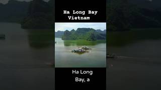 Explore Ha Long Bay Vietnam’s Natural Wonder 🌏 wanderwonder travel [upl. by Aranaj]