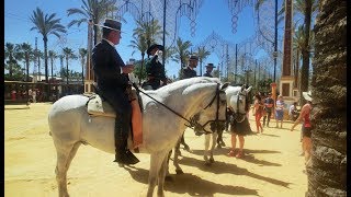 FERIA DEL CABALLO Jerez de la Frontera Spain [upl. by Dwan]