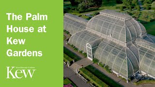 The Palm House at Kew Gardens [upl. by Retsila927]