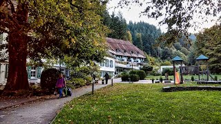 德國蘇爾茨堡Sulzburg森林中【Waldhotel Bad Sulzburg】 四星級酒店 Sulzburg Germany [upl. by Einitsed]