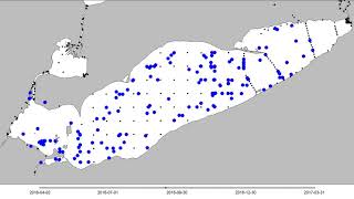 2016 Lake Erie Walleye Fish Movement  West Basin [upl. by Enram]