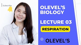 Respiration  Lecture 03  Basics and Aerobic Respiration  Olevels Biology [upl. by Gloriane]