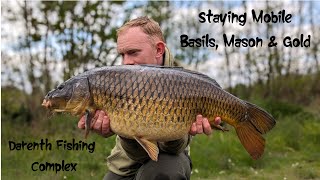 Basils Mason amp Gold  Staying mobile at Darenth Fishing Complex [upl. by Naeroled356]