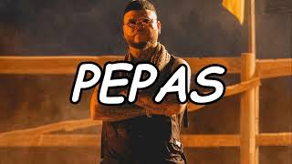 pepas remix farruko [upl. by Vyse]