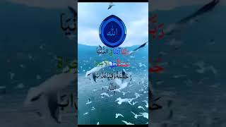 Rabbana Atina Fid Dunya  Full Dua [upl. by Eikciv]