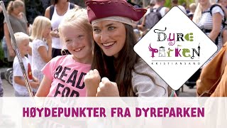 Høydepunkter fra Dyreparken [upl. by Nhojleahcim]