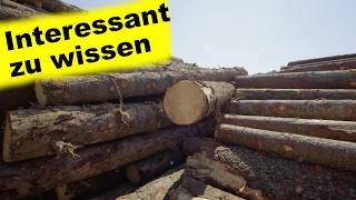 Die 10 besten Holzarten zum Heizen [upl. by Diantha563]