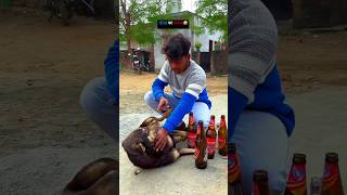 Dogs शराबी 😱😱😱😱😱😱😱😱😂😂😂😂😂😂😂👀👀dog shrabi funny shorts youtube trending [upl. by Nyrol957]