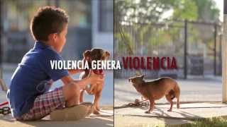 Violencia Familiar  Violencia Génera Violencia [upl. by Mitzl]