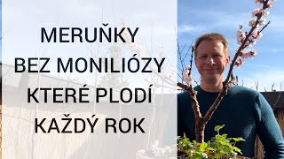 🚫 Přestaňte UBLIŽOVAT svým meruňkám 🚫 7 chyb v řezu stříhání a péči kterými ničíte své meruňky 🌳 [upl. by Aisatan538]