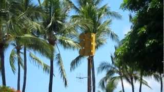 Federal Signal EOWS 612 Kahaluu Beach Park 8111 [upl. by Mitinger]