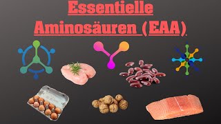 Die 8 essentiellen Aminosäuren EAA’s [upl. by Han58]