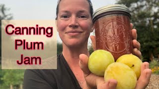 Making and Canning Golden Plum Jam  Little Roots Ranch with Christi [upl. by Suoivatnod]