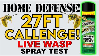 Wasp and Hornet Spray  Spectracide Wasp and Hornet Killer Put to the Test [upl. by Ytsihc]