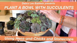 Make a Mounded Succulent Arrangement with HensandChicks and Stonecrops [upl. by Irita]