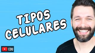 TIPOS DE CÉLULAS Tipos Celulares  Biologia com Samuel Cunha [upl. by Jammin30]