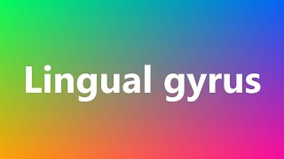 Lingual gyrus  Medical Meaning and Pronunciation [upl. by Lessig941]