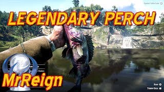 Red Dead Redemption 2  Hunting The Legendary Perch  Legendary Fish Location amp Tactics [upl. by Yetak282]