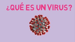 ¿Qué es un virus y Replicación viral [upl. by Ecadnac780]