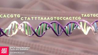 BRCA Gene Mutation Facts and Statistics [upl. by Tnerb]