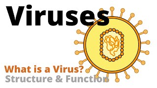 Structure and Function of a Virus Virology Basics [upl. by Notse]