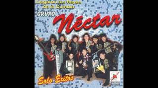 Grupo Nectar En las cantinas KARAOKE [upl. by Lucina990]